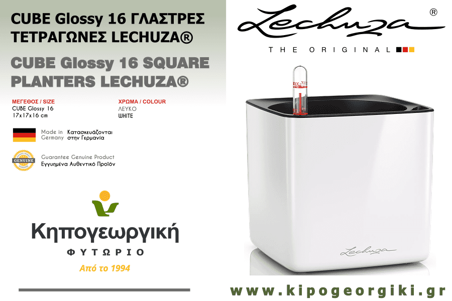 CUBE Glossy 16 Λευκό LECHUZA Αυτοποτιζόμενες Ζαρντινιέρες & Κασπώ